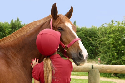 Un cheval et une cavalière se regardant
