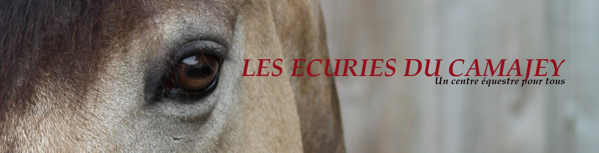 LES ECURIES DU CAMAJEY